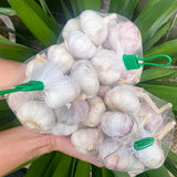 1 LB Jumbo Size Blue Music Garlic for Planting in Spring, Softneck Hardneck Garlic Bulbs for Planting, Fresh and High Yield, Cold Hardy, Fast-Growing, 5-6 Bulbs Garlic