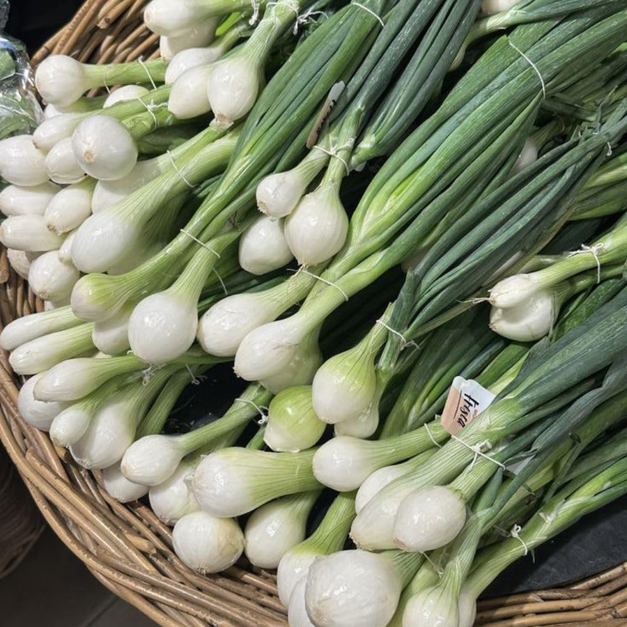 50+ American Flag Leeks Seeds, Vegetable Garden Seeds, Suitable for Backyard and Outdoor Planting