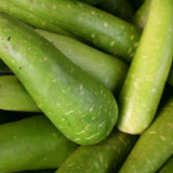 50 Bottle Gourd Seeds for Planting, Vegetable Seeds for Garden, Climbing Gourd Plant for Trellis, Outdoor Garden or Backyard Growing