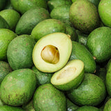 Avocado HASS Tree Live Plant Seedling Size 5-10 Inches in Tall, Cold Hardy Avocados Plant Tropical, Smooth Avocado