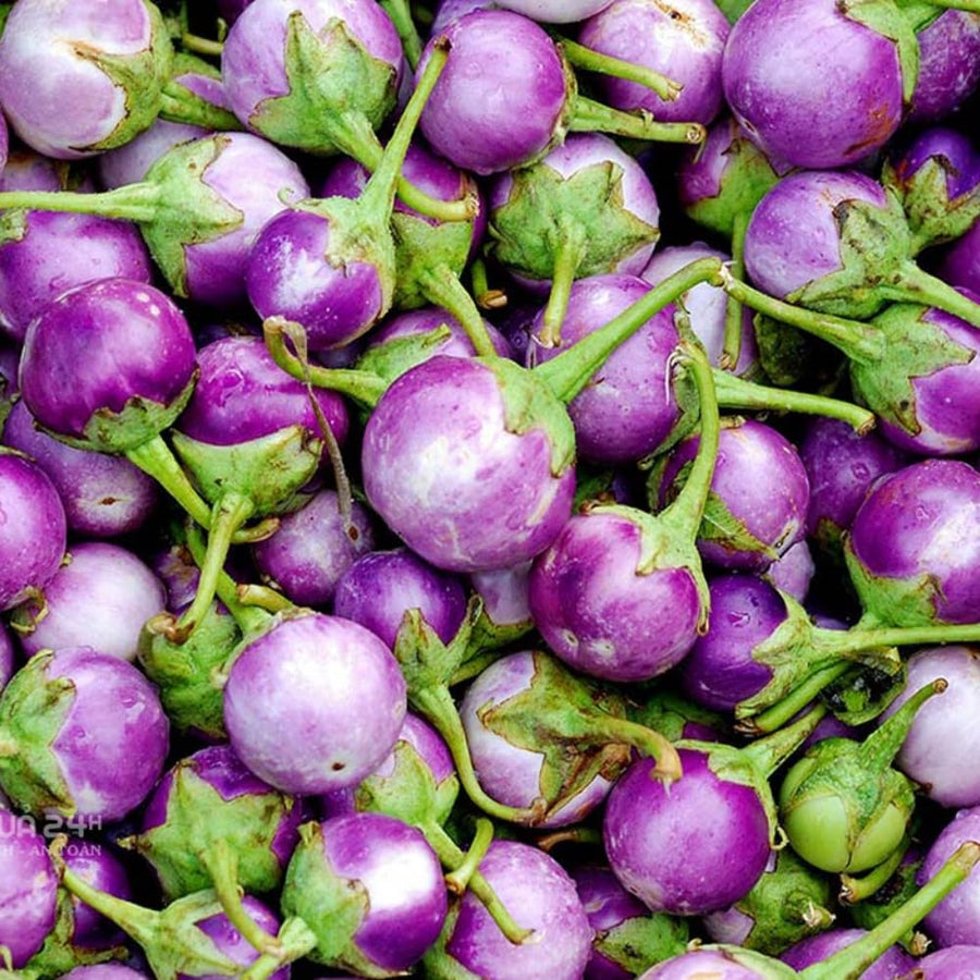 Pack of 100 Mixed Eggplant Seeds for Planting, Assorted Eggplant Vegetable Seeds for Outdoor Gardening, Suitable for Home Garden Beds, Raised Beds, or Containers