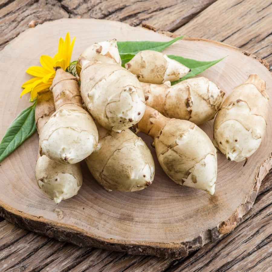 2 Lbs Jerusalem Artichoke Roots, Sunchoke Tubers for Planting, Edible Garden Vegetable, Ready for Garden Growing
