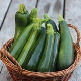 50 Green Zucchini Seeds for Planting, Summer Squash Vegetable Seeds, Garden Seeds for Outdoor Growing
