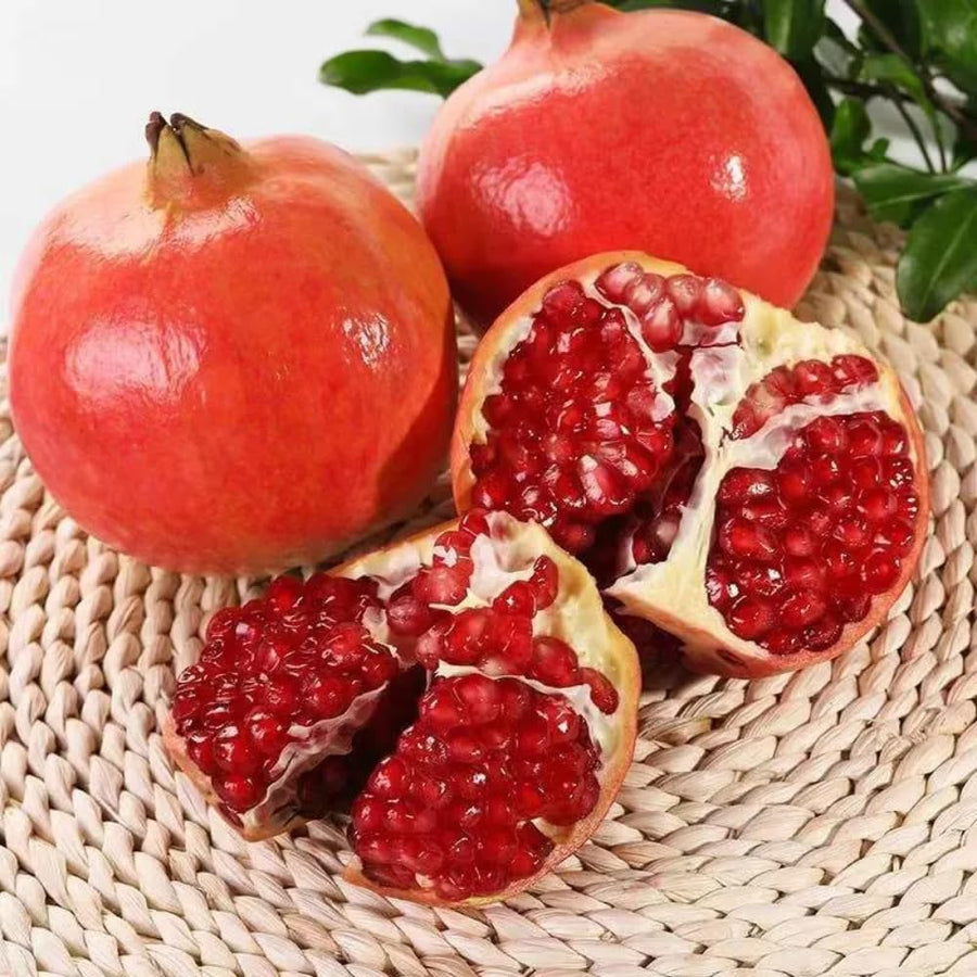 Red Pomegranate Tree Live Plant, 6-12” Tall, Sweet Pomegranate Fruit Plant in 4” Pot, Cold Hardy