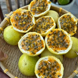 Yellow Passion Fruit Live Plant, 4-8 Inch Tall, Tropical Passion Fruit Vine for Outdoor Garden Planting, No Pot