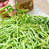 Live Green Beans Plant for Planting, 4 to 6 Inches Tall, Green Bean Vegetable Plant, Ready to Grow Vegetable Plant for Raised Beds and Containers