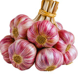 4 Large Red Garlic Bulbs for Planting, Garlic for Planting, High-Yield Hardy Garlic for Garden