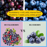 (Plug Size) 4 Black Huckleberry Trees Live Plants in 1.5" Pot, Rare Black Huckleberries Blueberry Like, Sweet Flavor, Dormant in Winter