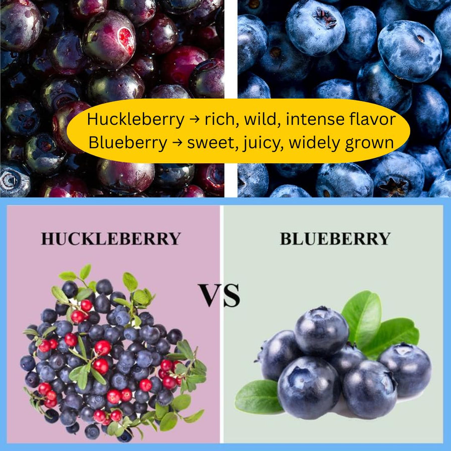 (Plug Size) 4 Black Huckleberry Trees Live Plants in 1.5" Pot, Rare Black Huckleberries Blueberry Like, Sweet Flavor, Dormant in Winter