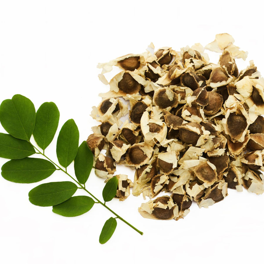 100 Moringa Seeds for Planting, Moringa Oleifera Vegetable Plant Seeds Gardening Outdoor