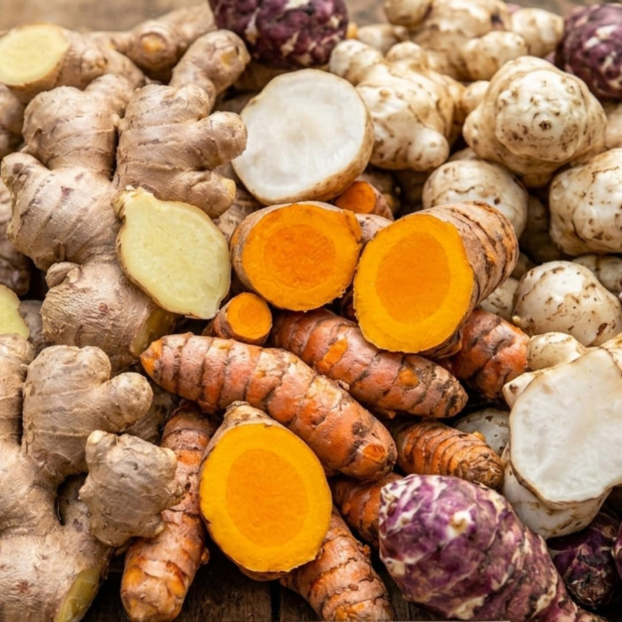 Bundle 9 (L Size) Ginger Roots, Jerusalem Artichoke Tubers and Turmeric Rhizomes for Garden Planting, Fresh Heirloom Roots for Gardens, Ready to Plant