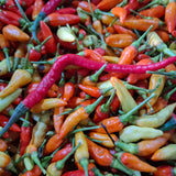 50 Bird Chili Seeds for Planting, Thai Hot Pepper Seeds, Vegetable Seeds for Garden and Container Growing
