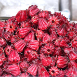 Roselle Hibiscus Plant Live, 8-12 Inc Tall, Sabdariffa Sorrel Jamaica Hibiscus Tree Live Plant in 4" Pot, No CA