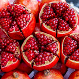 Sweet Pomegranate Tree Live Plant, Red Wonderful Pomegranate Tree Zone 8 to 11, Size 8 to 10 Inch Tall