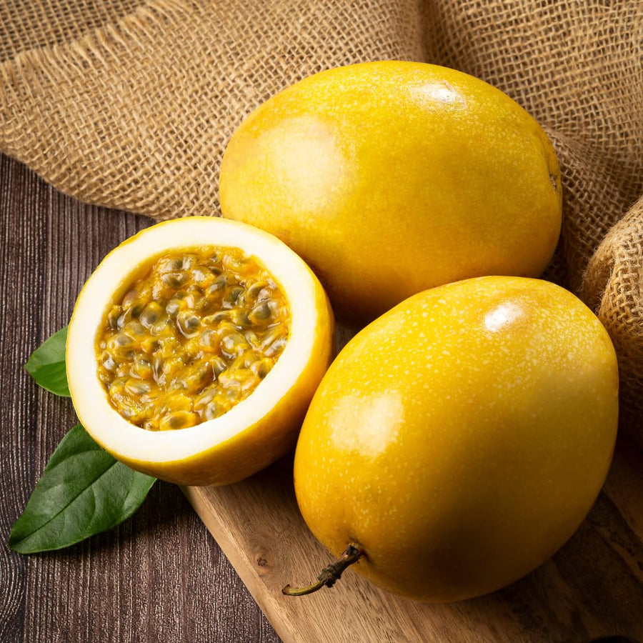 Live Passionfruit Plant Vine - 6 to 8 Inches Tall, Hardy and Fruit-Bearing, Yellow Passion Fruit Tree Live Plant, for Planting Home Gardens and Containers