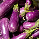 Purple Eggplant Plant for Planting, 4-7" Tall in 4 Inches Pot, Eggplant Vegetable Plants, Eggplants Seedling for Garden Growing
