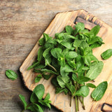 Live Mint Plant in 3.5'' Pot, Herb Plants for Planting Indoor Outdoor, Fragrant, Hardy, Perennial Herbs (Spearmint)