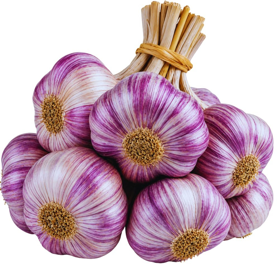 3 Large Purple Garlic Bulbs for Planting, Garlic for Planting, High-Yield Hardy Garlic for Garden