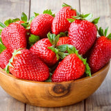 Set 3 Everbearing Strawberry Plants, Easy tp Plant, Sweet Strawberry Plants Live, Outdoor Gardening