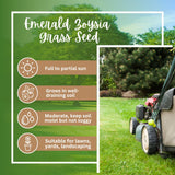 20000 Zoysia Emerald Grass Seeds, Emerald Zoysia Grass for Garden, Zoysia Grass Seeds Perennial Tropical for Growing