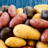 2 Lbs Mixed Potatoes for Planting - Assorted Potato Tubers for Outdoor Garden, Raised Beds, and Container Growing, Potatoes Bulbs Tubers Vegetable