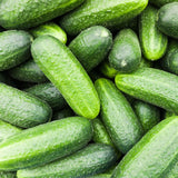 Pack of 60 Green Cucumber Seeds, Cucumber Seeds for Garden, Vegetable Planting Seed
