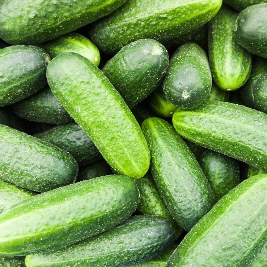 Pack of 60 Green Cucumber Seeds, Cucumber Seeds for Garden, Vegetable Planting Seed