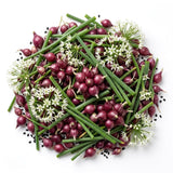 Set 10 Walking Onion Bulbs, 2 Years Old Perennial Garden Onion