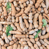 2 Pots Tamarind Plants in 4 Inch Pot, 6-10 Inches Tall Tamarind Tree Live Plant, Tropical Fruit Plants for Outdoor Growing
