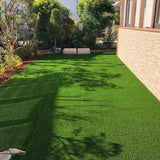 Set 20000 Zoysia Grass Seeds, Zoysia Grass Seeds for Lawn, Low Maintenance, Drought Tolerant Lawns for Home and Yards
