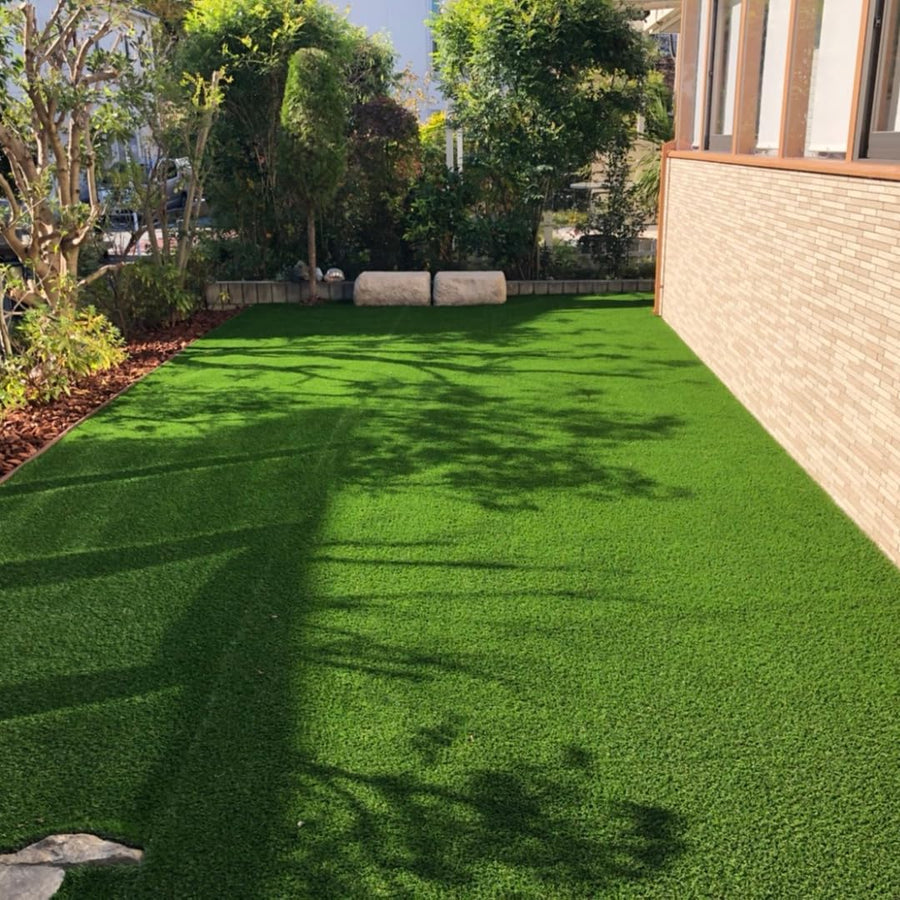 Set 20000 Zoysia Grass Seeds, Zoysia Grass Seeds for Lawn, Low Maintenance, Drought Tolerant Lawns for Home and Yards