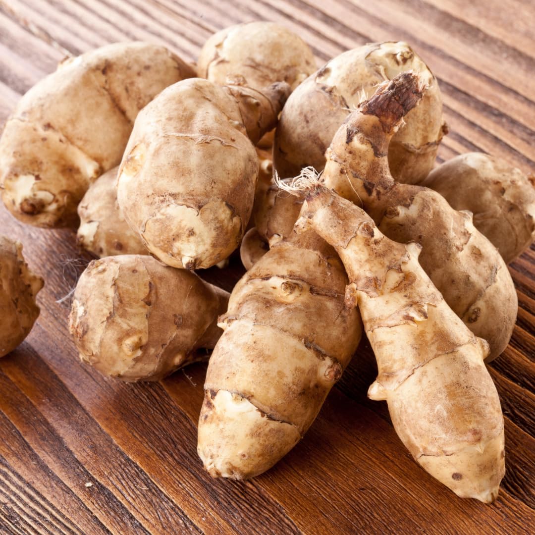 2 Lbs Jerusalem Artichoke Roots, Sunchoke Tubers for Planting, Edible Garden Vegetable, Ready for Garden Growing