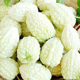 20 Bitter Melon Vegetable Seeds, Bitter Gourd Seeds for Outdoor Planting (White)
