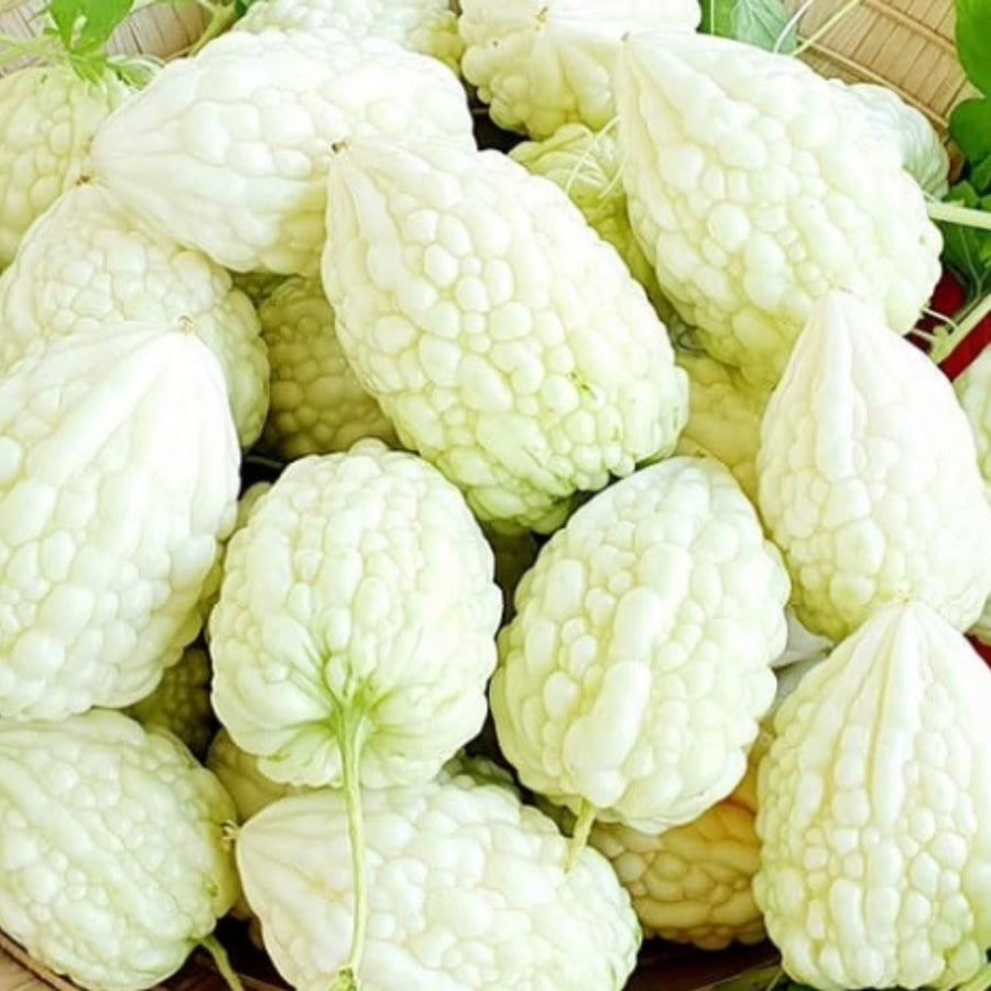 20 Bitter Melon Vegetable Seeds, Bitter Gourd Seeds for Outdoor Planting (White)