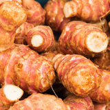 Bundle 9 (L Size) Ginger Roots, Jerusalem Artichoke Tubers and Turmeric Rhizomes for Garden Planting, Fresh Heirloom Roots for Gardens, Ready to Plant