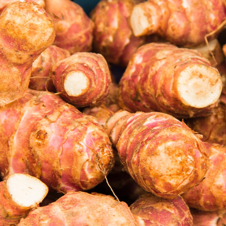 Bundle 9 (L Size) Ginger Roots, Jerusalem Artichoke Tubers and Turmeric Rhizomes for Garden Planting, Fresh Heirloom Roots for Gardens, Ready to Plant