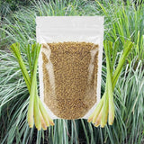 400 Lemongrass Herb Seeds, Culinary Lemongrass Herb Seeds for Home Garden, Patio Pots and Containers