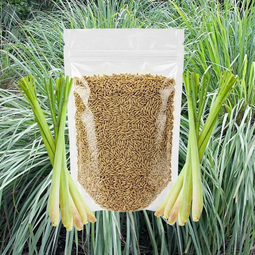 400 Lemongrass Herb Seeds, Culinary Lemongrass Herb Seeds for Home Garden, Patio Pots and Containers