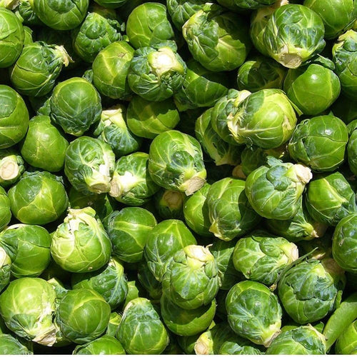 250+ Brussels Sprouts Seeds, Garden Seeds for Backyard Planting, Suitable for Outdoor Growing Conditions
