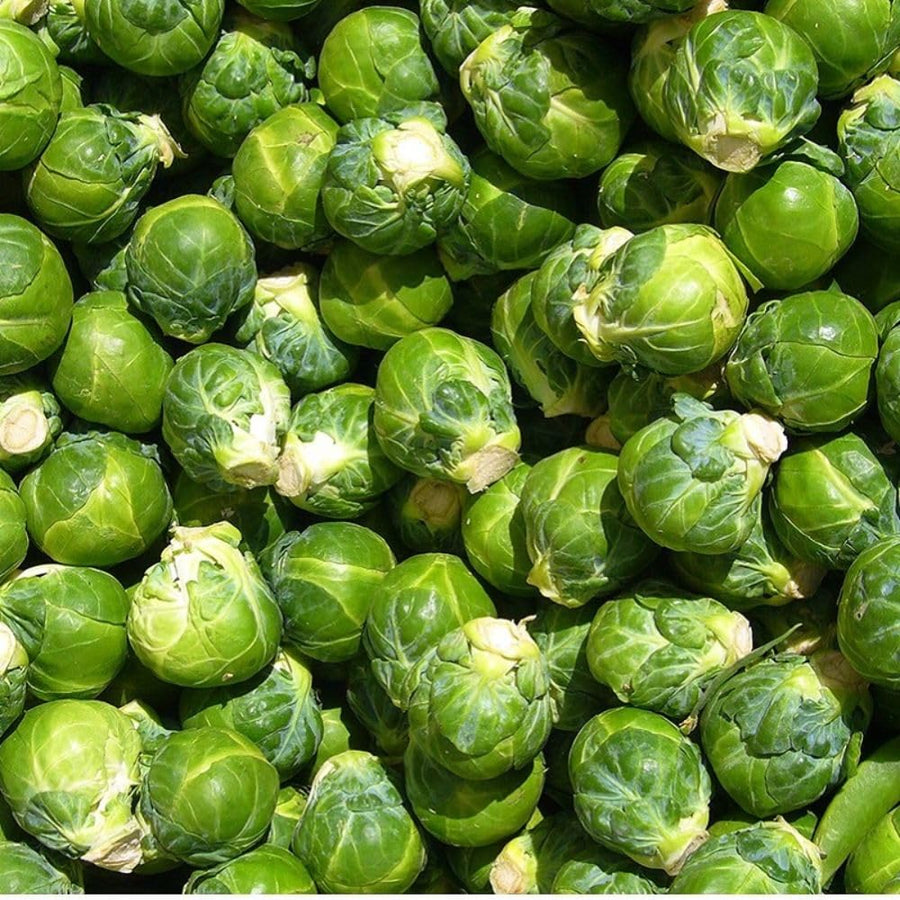 250+ Brussels Sprouts Seeds, Garden Seeds for Backyard Planting, Suitable for Outdoor Growing Conditions