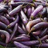 Purple Eggplant Plant for Planting, 4-7" Tall in 4 Inches Pot, Eggplant Vegetable Plants, Eggplants Seedling for Garden Growing