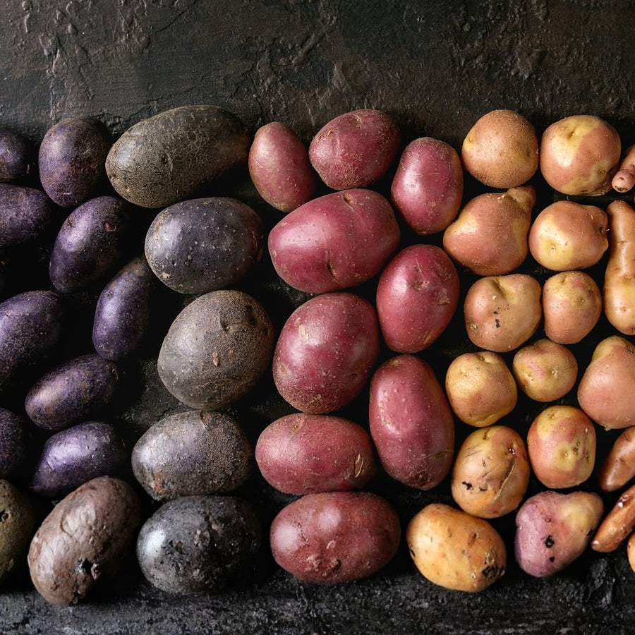2 LB Mixed Potato Tubers, Assorted Potato for Outdoor Garden and Container Growing, Mix Potatoes Bulbs Tubers Vegetable for Backyard Garden, Easy to Plant