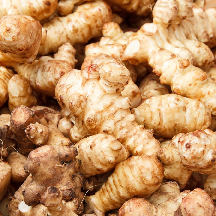 16oz Jerusalem Artichoke Bulbs for Planting, Hardy Perennial Sunchoke Tubers, Home Garden Growing