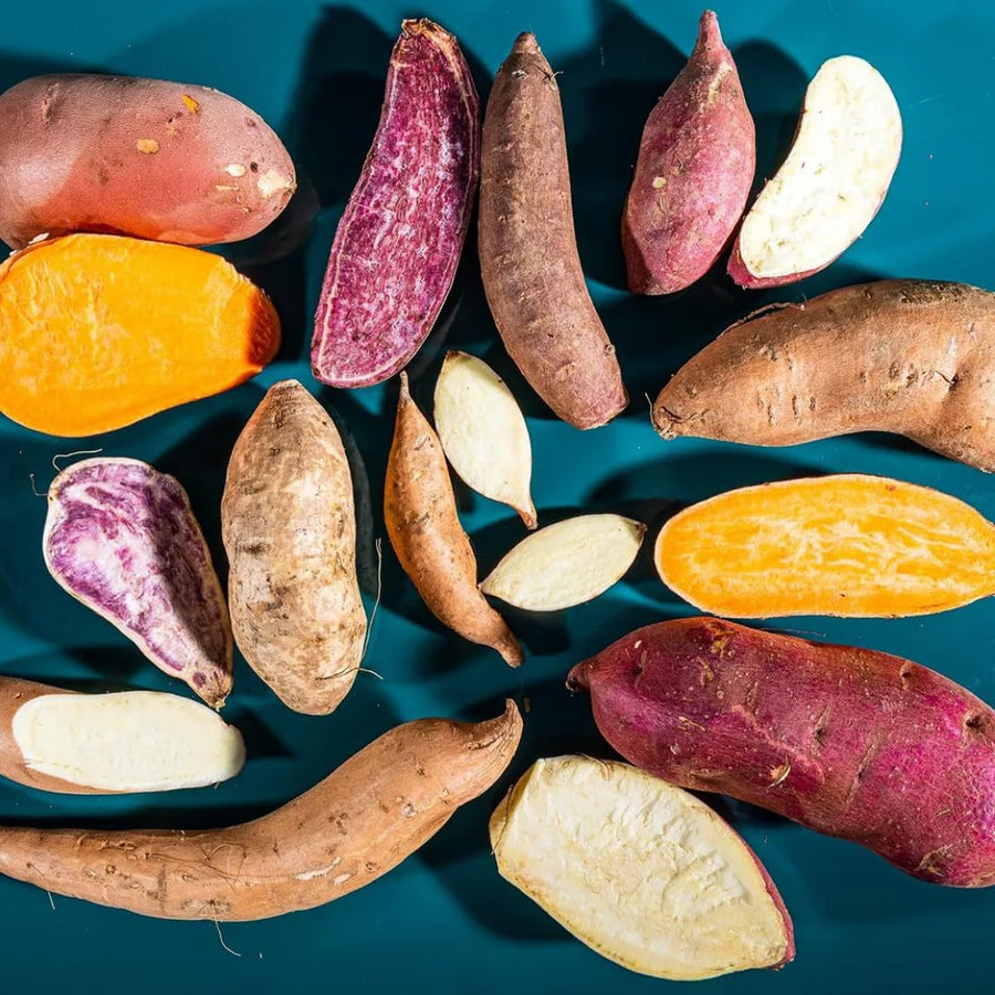 High Yielding Mixed Potato Tubers, 1 Pound of Russet, Yukon, Red Potatoes Plants Bulbs for Outdoor Growing,Vegetables Heirloom Potato Seeds Live Tuber for Home Garden