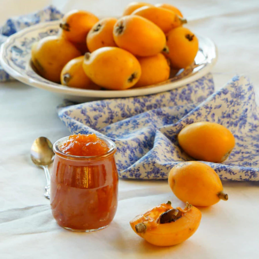 Loquat Tree Live Plant, Golden Loquat Plant Live, Cold Hardy Fruit Tropical Plant, Home Orchard Planting, 4 Inc Pot