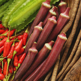 2 Red Okra Plants Live for Planting, Vegetable Plant, 4-8 Inches Tall, High Yield Garden Okra for Beds, Containers, Patio