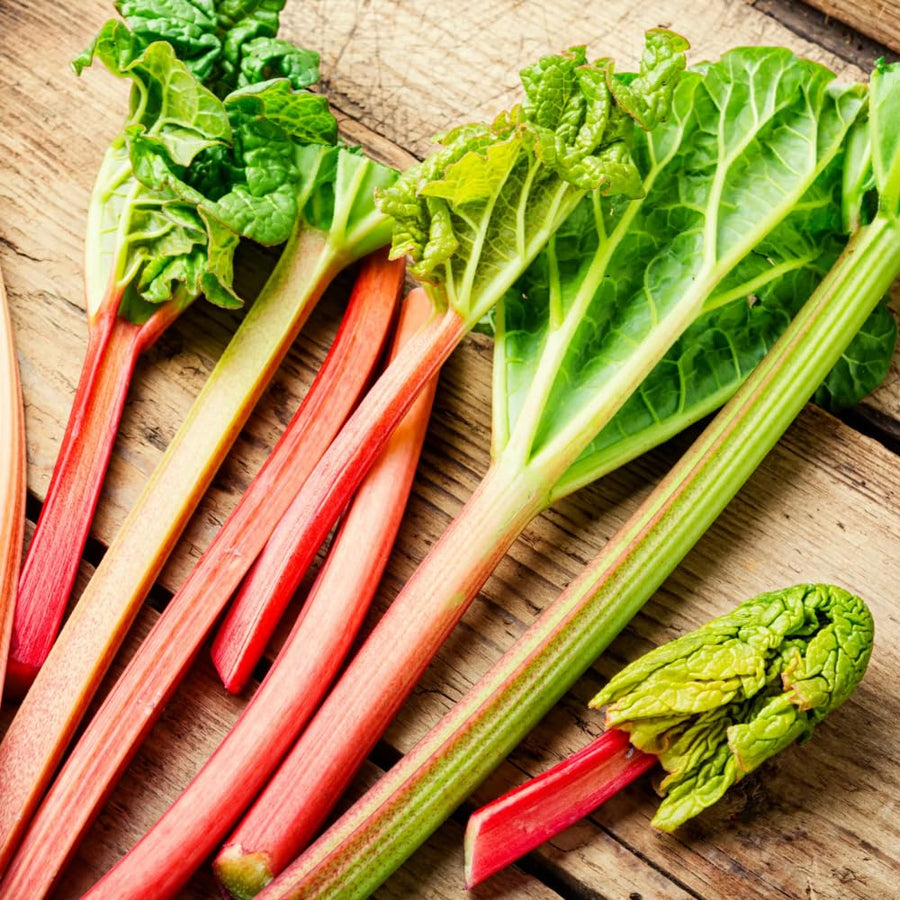 Pack 5 Rhubarb Roots Plants, Red Rhubarb Roots Vegetable for Planting, Hardy Perennial Vegetables