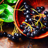 Set 2 Chokeberry Plant Live, Black Chokeberry Live Plant for Home Garden, 2-3 Years Old Bare Roots, Black Berries Shrub, 14 to 16 Inches Tall