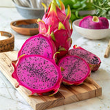 Live Red Dragon Fruit Plant, Rare Sweet Fruit Tree 1.5-2 Feet Tall, Dragon Fruit Vine for Planting in Containers or Gardens