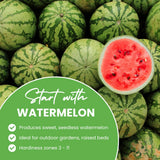 Pack 100 Sweet Watermelon Seeds, Watermelon Seeds for Planting, Heirloom, High Yield Sweet Melon Seed for Beds or Outdoor Garden